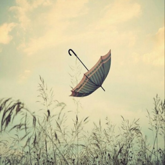 Meet your Posher, Season - Picture 1 of 1